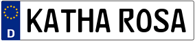 Truck License Plate